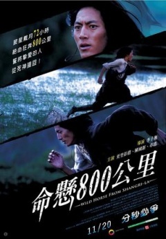 命悬800公里